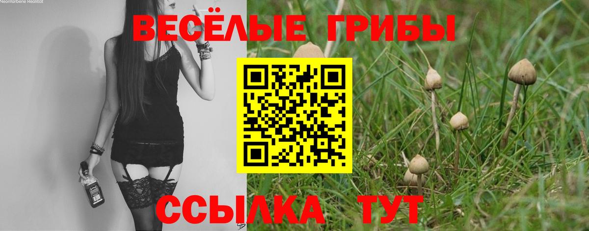 Рославль  Псилоцибиновые грибы Psilocybine cubensis  Вход с VPN 